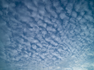 Fototapeta premium Summer blue sky with white light clouds.