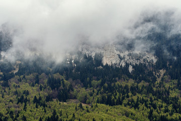 French landscape - Vercors. Panoramic view over the peaks of the Vercors in France.