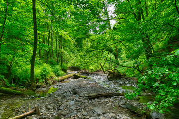 Bachlauf in einer Schlucht bei Winterberg