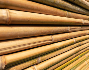 Bamboo twig wall as abstract background