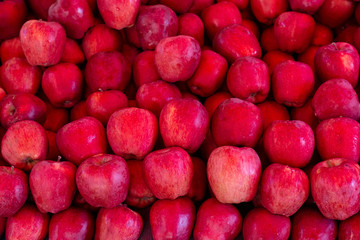 Red apples background. Closeup on ripe fresh fruits taken out from storage chamber.