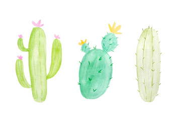Watercolor painting, set of cactus in watercolor style on white background, art and design © mangpor2004