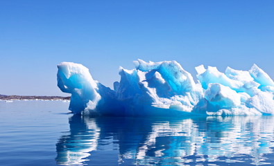 Icebergs in background, landscape Greenland 