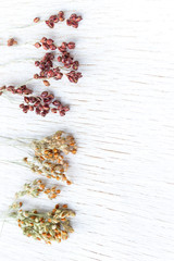 Sprigs of red and yellow millet. White background.
