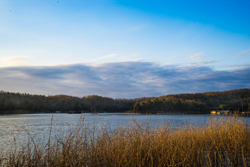 The panoramic view of the lake has a branch in foreground.