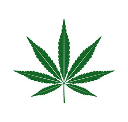 Cannabis marijuana hemp logo. Isolated hemp on white background