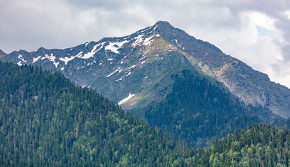 Beautiful mountains in the park in the Caucasus