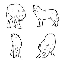 Arctic Wolf Animal Vector Illustration Hand Drawn Cartoon Art