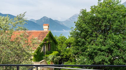 Building covered by ivy leaves and flowers. Tree and green mountains in Lake. Orange tiles in a house with chimney in Kotor bay Montenegro. Creeper in facade