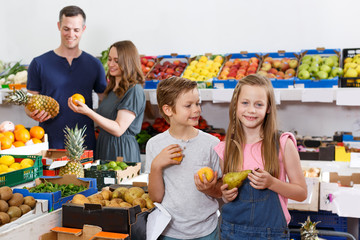 Fototapeta premium Two lucky kids looking for delicious fruits