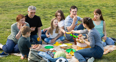 Cheerful males and females on picnic