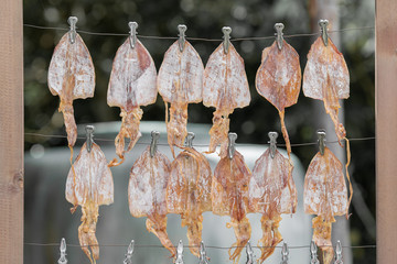 Dried squid Hanging on the rail to wait for the Thai style grill