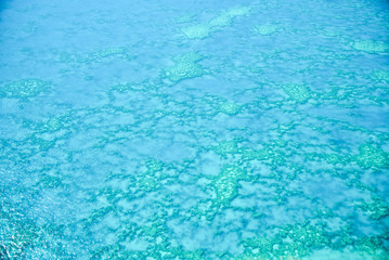Natural Great Barrier Reef in Queensland. Aerial view of nature paradise with magnificent colors