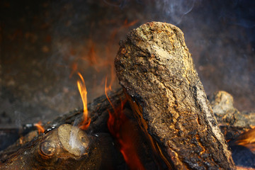 Close up view on a burning woods background