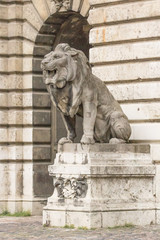 Lion statue. Stone monument. Monument near the castle. Medieval architecture. Historical heritage. Lions of Budapest. Travel to Hungary. European monuments to animals. Muzzle of a lion.