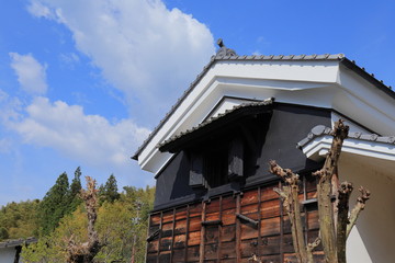 伝統的な土蔵 © Sally B