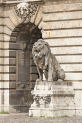 Lion statue. Stone monument. Monument near the castle. Medieval architecture. Historical heritage. Lions of Budapest. Travel to Hungary. European monuments to animals. Muzzle of a lion.