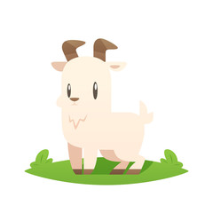 Cartoon goat vector isolated illustration