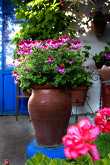 Flower decoration of patios in Cordoba, Andalusia, Spain - Patio Fest