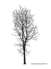Obraz premium Dead Tree without Leaves Vector Illustration Sketched, EPS 10.