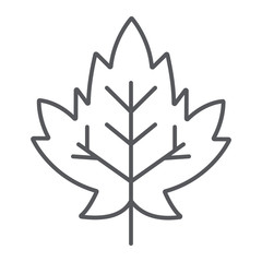 Maple leaf thin line icon, foliage and nature, autumn leaf sign, vector graphics, a linear pattern on a white background.