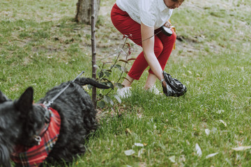 Woman cleaning up her dog in the park