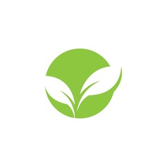 Green leaf logo