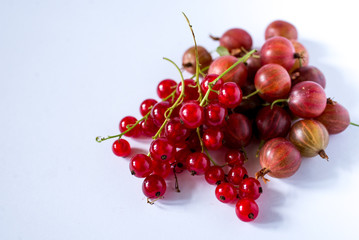 bunch of red currants on white background