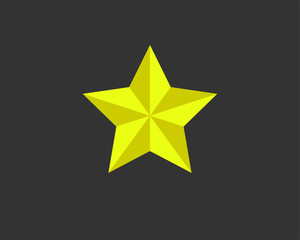 Star icon vector silhouette isolated on white background.