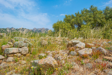 Scenic landscape of green hills and rocky mountains of the island of Sardinia in spring