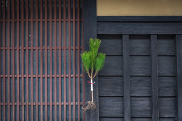 京都の正月飾り 根引松