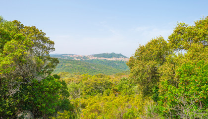 Scenic landscape of green hills and rocky mountains of the island of Sardinia in spring