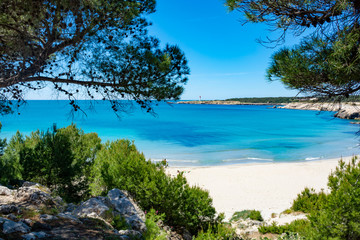Crystal clear blue Mediterranean sea water on St.Croix Martigues beach and mediterranean pine trees, Provence, France - obrazy, fototapety, plakaty