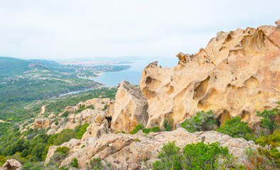 Fototapeta premium The 