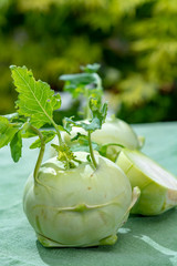 Fresh ripe bio white cabbage kohlrabi from organic farm, close up