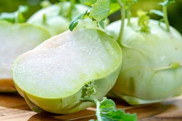 Fresh ripe bio white cabbage kohlrabi from organic farm, close up