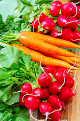 Bunches of fresh red radish and carrots, new harvest of healthy vegetables