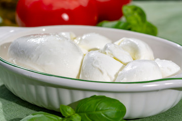 Twisted to form a plait treccia mozzarella Italian soft cheese served with fresh basil and tomatoes