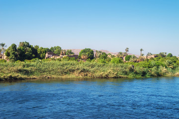 Fototapeta na wymiar Fertile shores of the Nile in the vicinity of Luxor