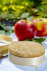 French cheeses collection, piece of fermented cow milk cheese Camembert au Calvados served with apples outside in green garden