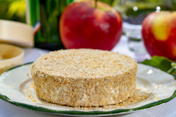 French cheeses collection, piece of fermented cow milk cheese Camembert au Calvados served with French dry apple cider outside in green garden
