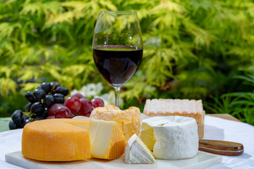 French cheeses collection, yellow Riche de Saveurs, Vieux Pane and Le peche des bons peres cheeses served with glass of red port wine on marble plate outdoor in green garden