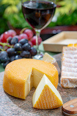 French cheeses collection, yellow Riche de Saveurs, Vieux Pane and Le peche des bons peres cheeses served with glass of red port wine on marble plate outdoor in green garden