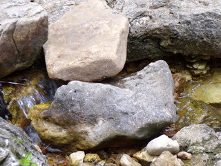 KODAK Digital Still Camera