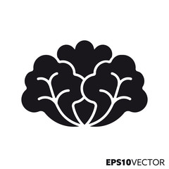 Lettuce vegetable vector glyph icon