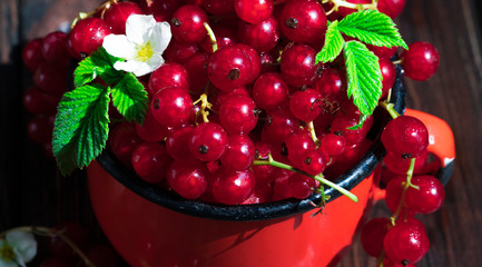 Red currants in mugs on  wooden table