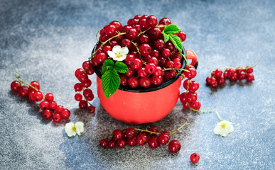 Red currants in mugs on blue table