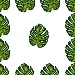 Tropical Pattern. Seamless Texture with Bright Hand Drawn Leaves of Monstera.