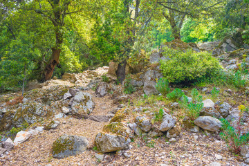 Scenic landscape of green hills and rocky mountains of the island of Sardinia in spring