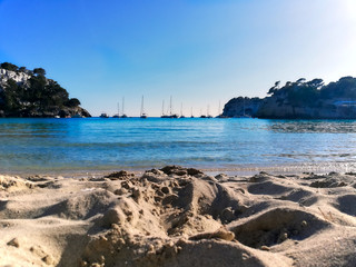 panoramic view of a plant with sand in the foreground and view of a beautiful turquoise sea with some boats on the horizon.